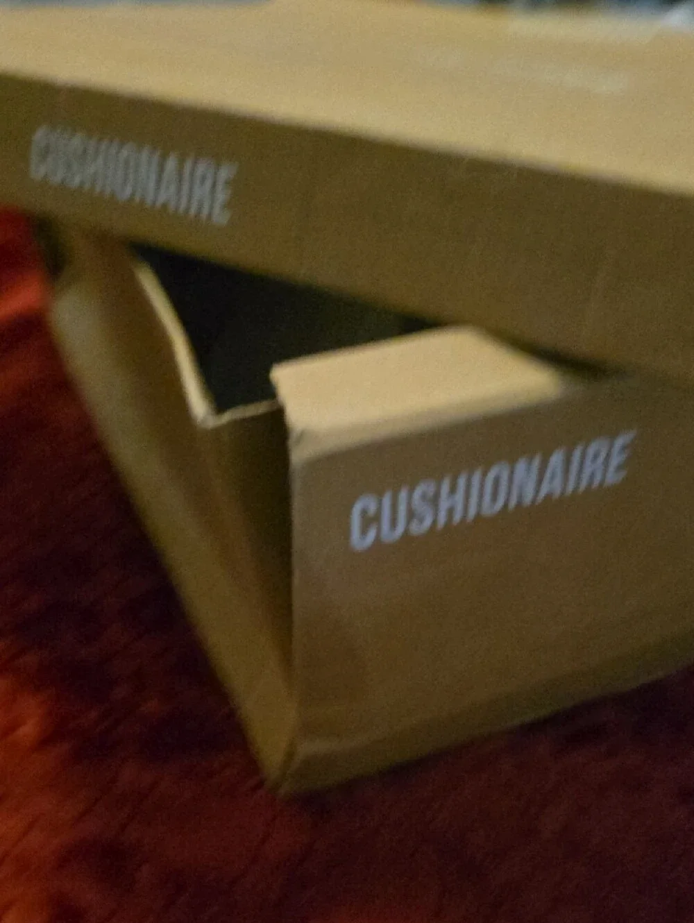 Cushionaire Platform Sandals